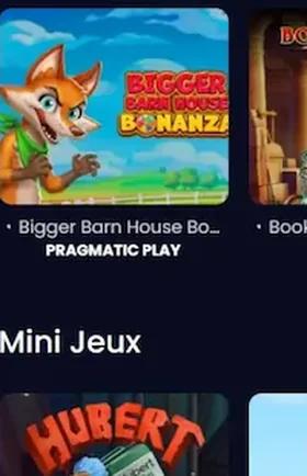 Bigger Barn House Bonanza